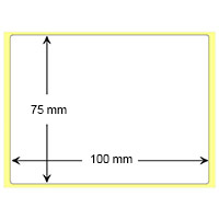 Etichetta sintetica  100mmx75m