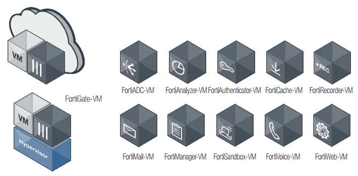 FortiGate VM NGFW